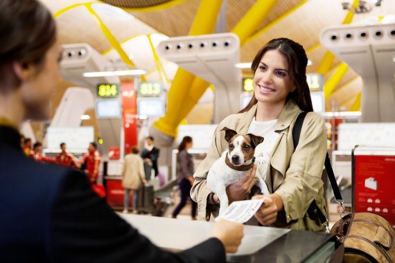 Foto de una chica facturando con su perro en un mostrador de Iberia antes de viajar