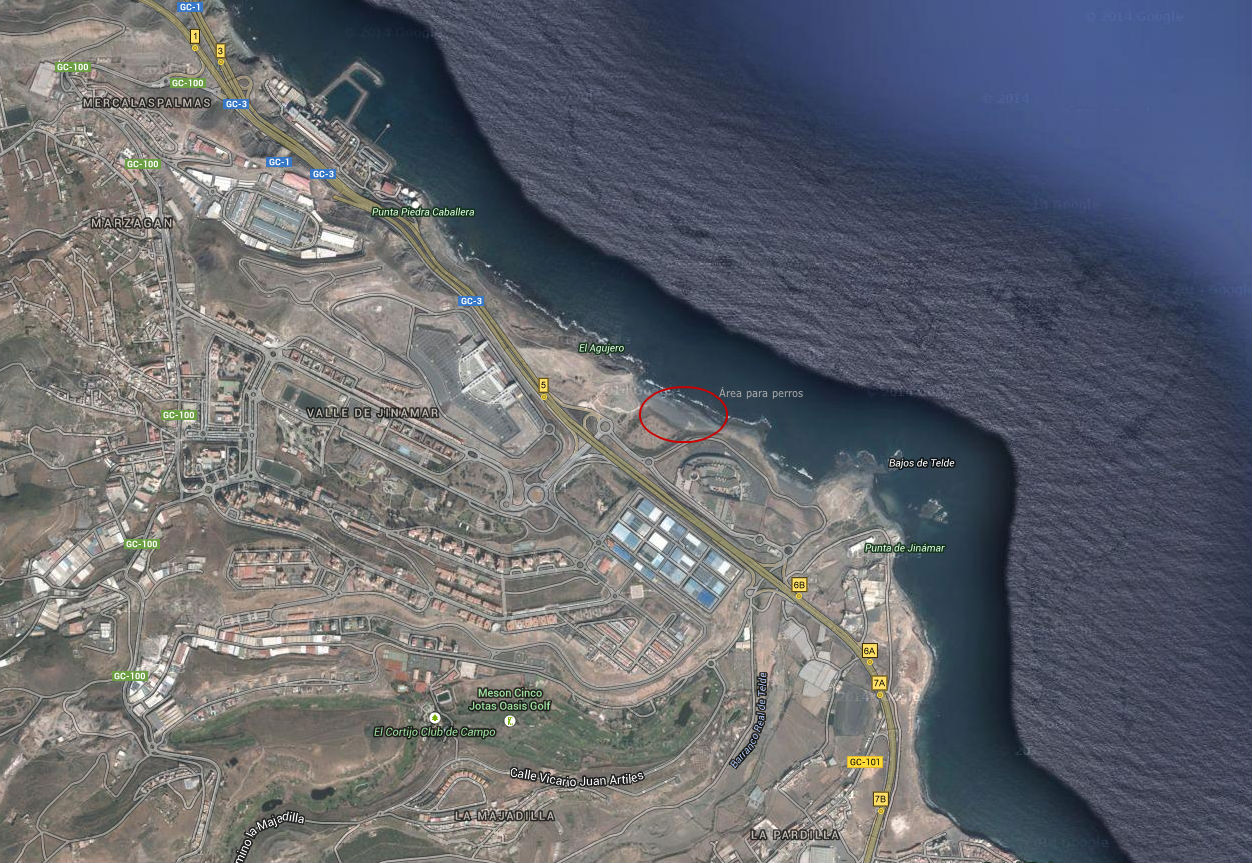 Playas para Perros en Gran Canaria - ACTUALIZADO 2023 -