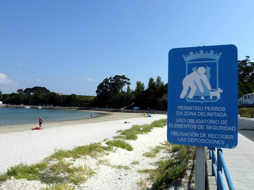 Playa para perros en el Concello de Ares. Imagen: educandoagala.com