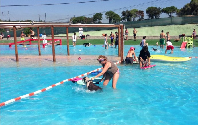 Aquapark Para Perros En Barcelona Can Jane Redcanina Es