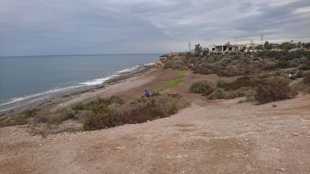 La playa de La Cañada del Negro ha sido la elegida para ser la primera playa para perros en Águilas