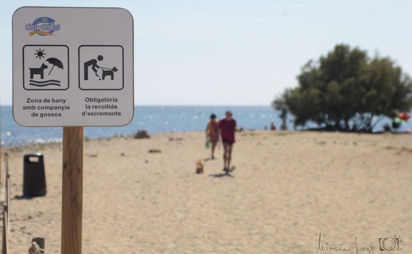 Hablar Giotto Dibondon Permeabilidad Playas para perros en Girona -ACTUALIZADO 2022