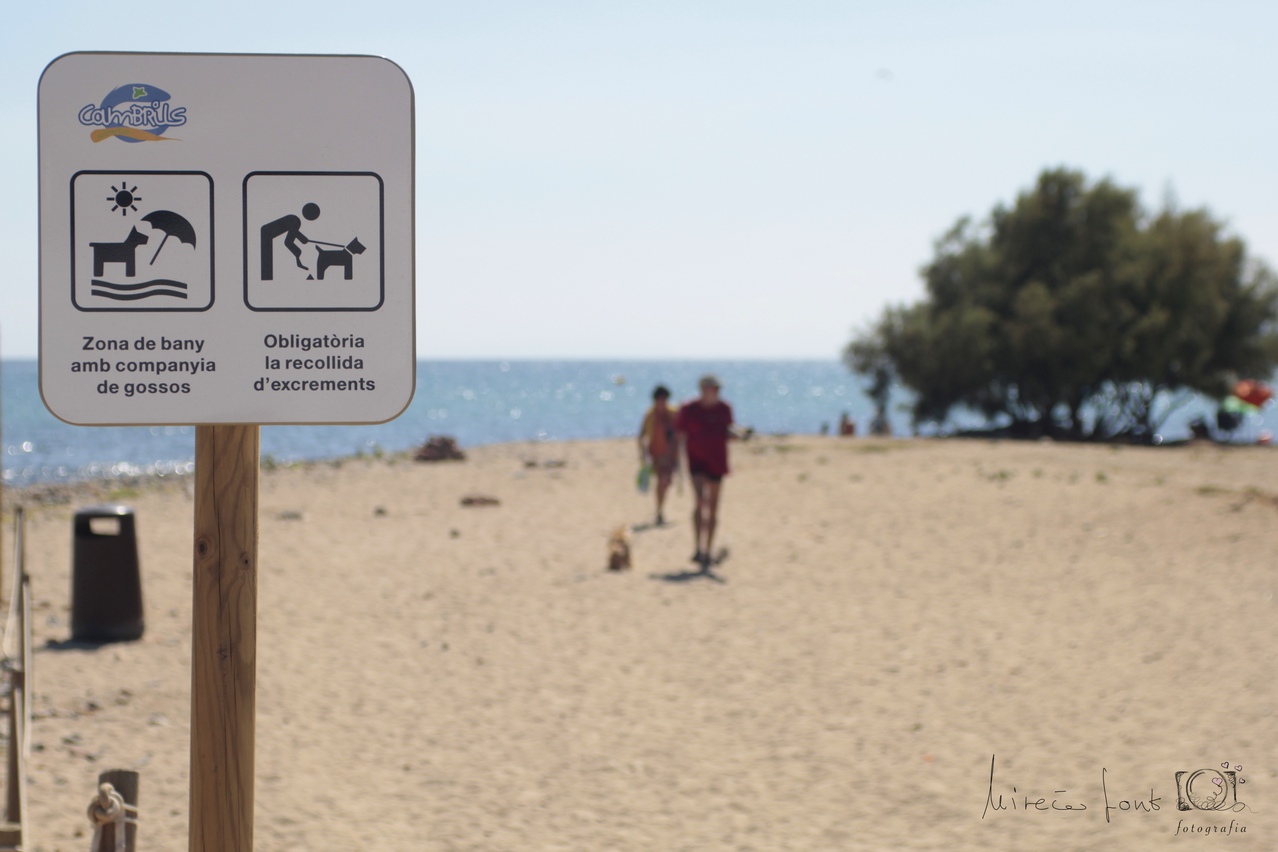 Vagabundo comunidad Recreación Playas para perros en Cataluña - ACTUALIZADO 2022 - RedCanina.es