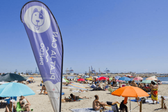 Playa para perros en Pinedo en Valencia