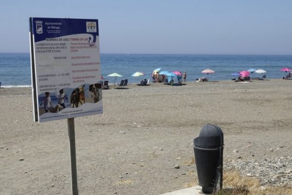 Playa para perros Arroyo Totalan en Málaga
