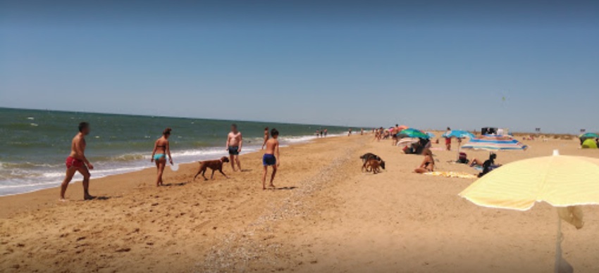 Playas para perros en Andalucía -ACTUALIZADO 2024-