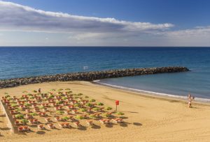 29 Alojamientos de Playa del Inglés en Gran Canaria que admiten perros