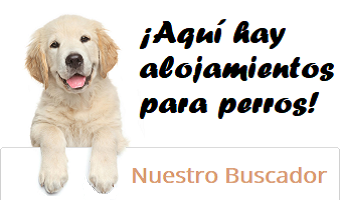 Top perro en formulario para buscar alojamientos que admiten perros