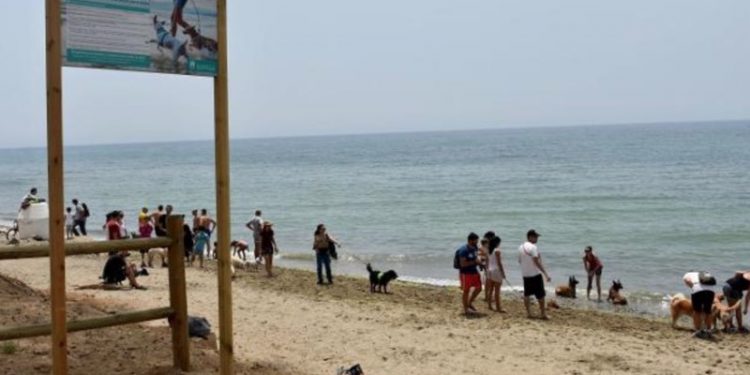 Playa para Perros El Pinillo en Marbella