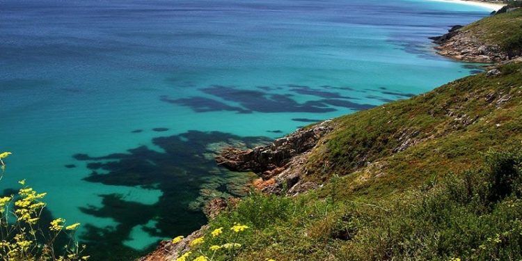 7 alojamientos para perros en Finisterre