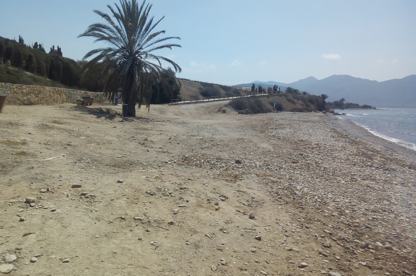 Playa para perros en Cartagena – La Calera- Isla Plana