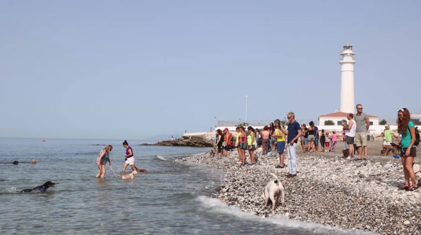 Playa para perros en Torrox, Málaga