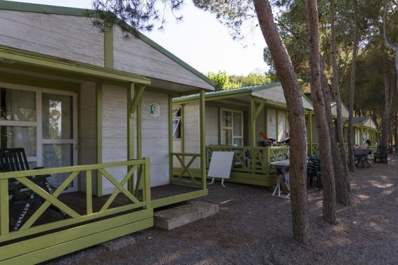 Disfruta del camping Altomira con tu mascota y alojate en bungalows de madera en plena naturaleza