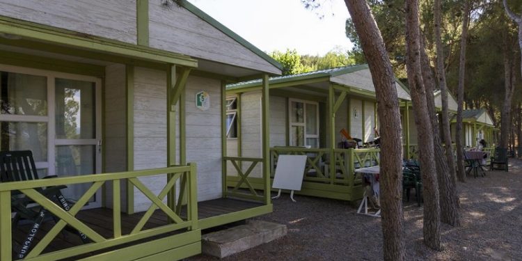Disfruta del camping Altomira con tu mascota y alojate en bungalows de madera en plena naturaleza