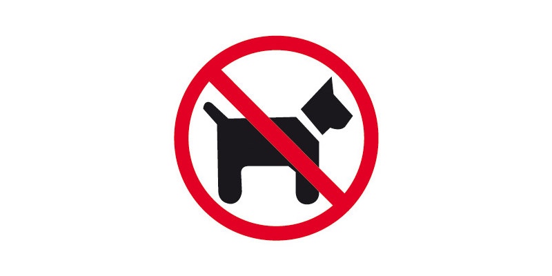 Playa Las Gaviotas prohibido perros