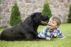 Foto de un perro junto a un niño pequeños tumbado en el cesped