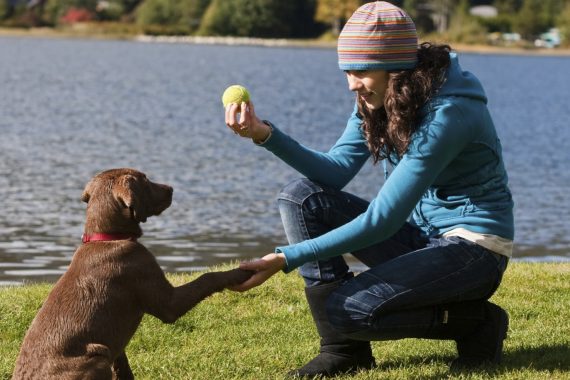 Foto de una chica enseñando a su perro a dar la pata