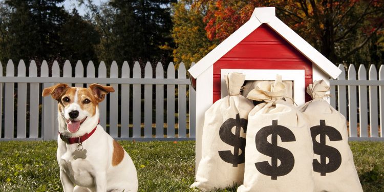 Foto de un perro con bolsas de dinero junto a su caseta