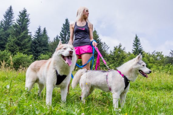 Chica paseando a dos perros con correa por el prado, un buen lugar para empezar