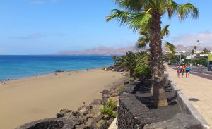 Foto de una playa de lanzarote con un paseo junto a la playa y palmeras.