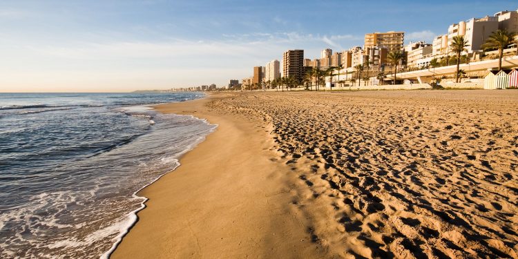 Foto de la playa de Campello al amanecer donde se pueden ver los apartamentos al fondo muy cerca de la playa y donde algunos de ellos admiten perros GRATIS