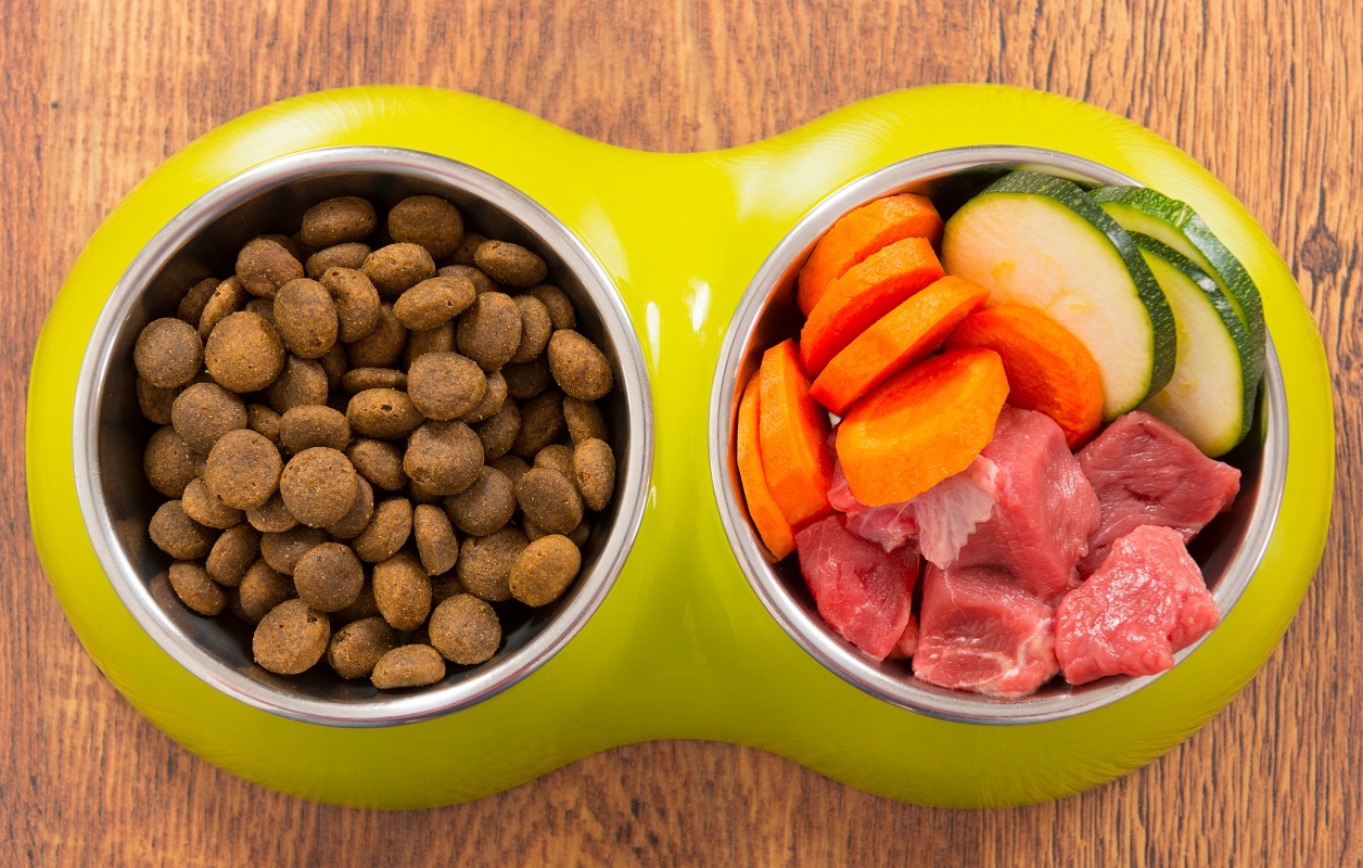 Foto de unas croquetas para perros en un bowl junto con carne y verduras