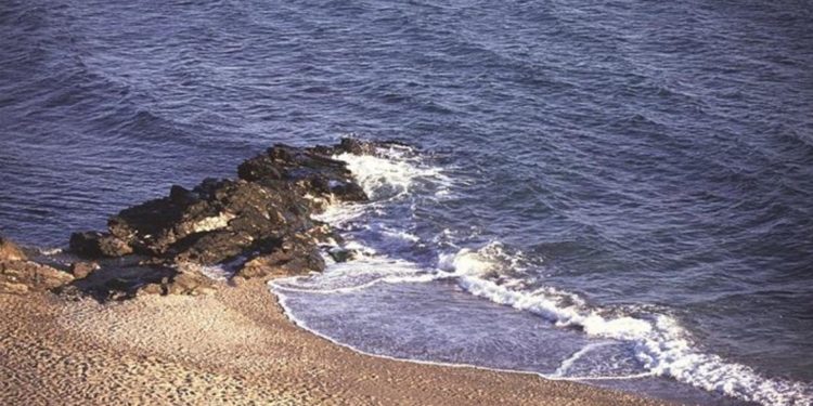 playa para perros de Benalmádena
