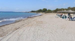 Playa Sa Marjal, playa para perros en Son Servera
