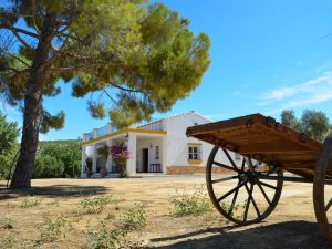 Casa rural en medio del campo en Cádiz donde tu perro se puede alojar totalmente gratis