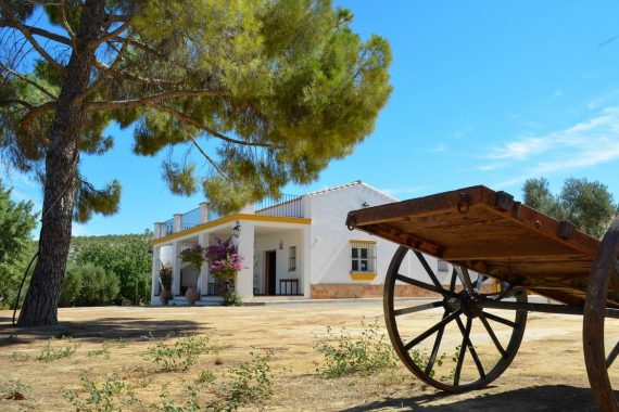 Casa rural en medio del campo en Cádiz donde tu perro se puede alojar totalmente gratis