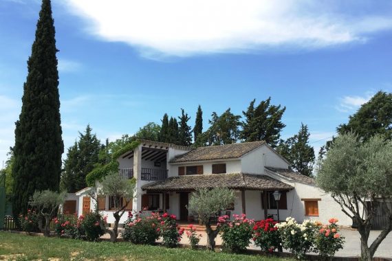 Foto del exterior de la La Casona del Cipres donde se puede ver el cesped y los jardines de esta bonita casa rural que admite perros cerca de Madrid
