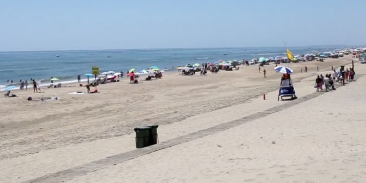 playa para perros Santa Pura en Lepe Huelva