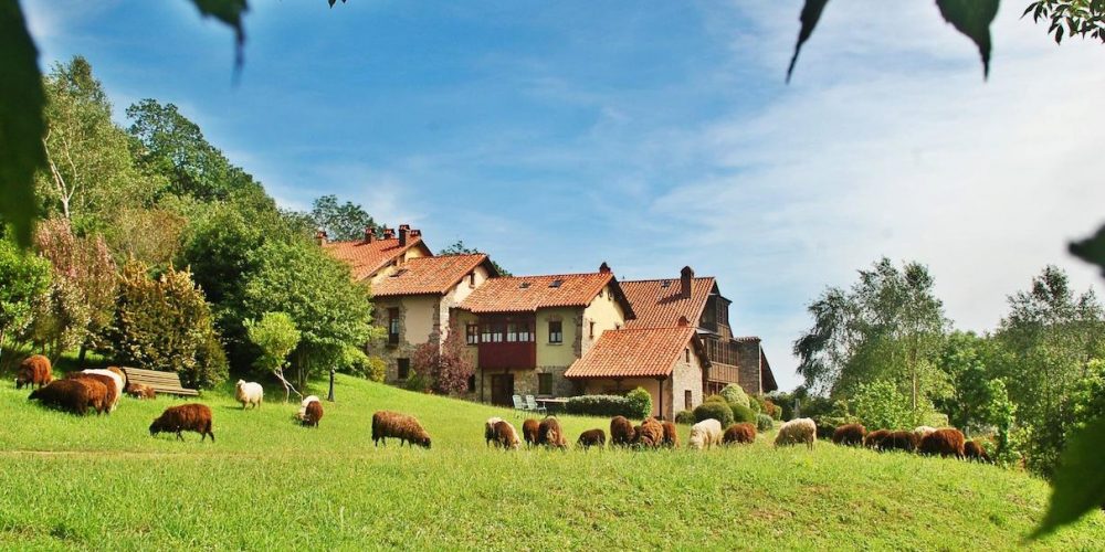 Más de 27 hoteles rurales de la provincia de Asturias ideales para ir con tu mascota de vacaciones como en esta casa rural en medio de un prado donde aceptan perros.