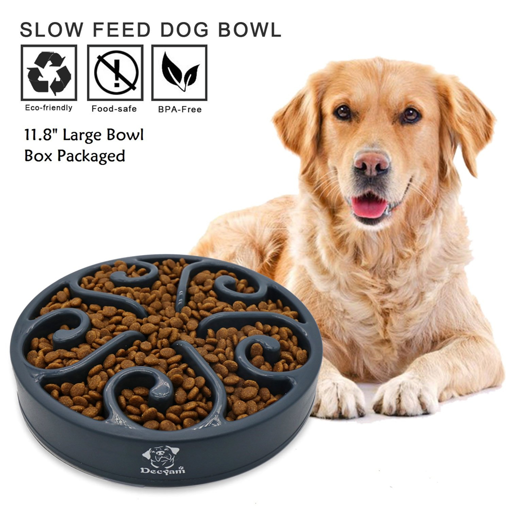PVC y materiales tóxicos ftalatos SunGrow libre de BPA Cuenco de comida para perro lento por prevenir la obesidad canina 