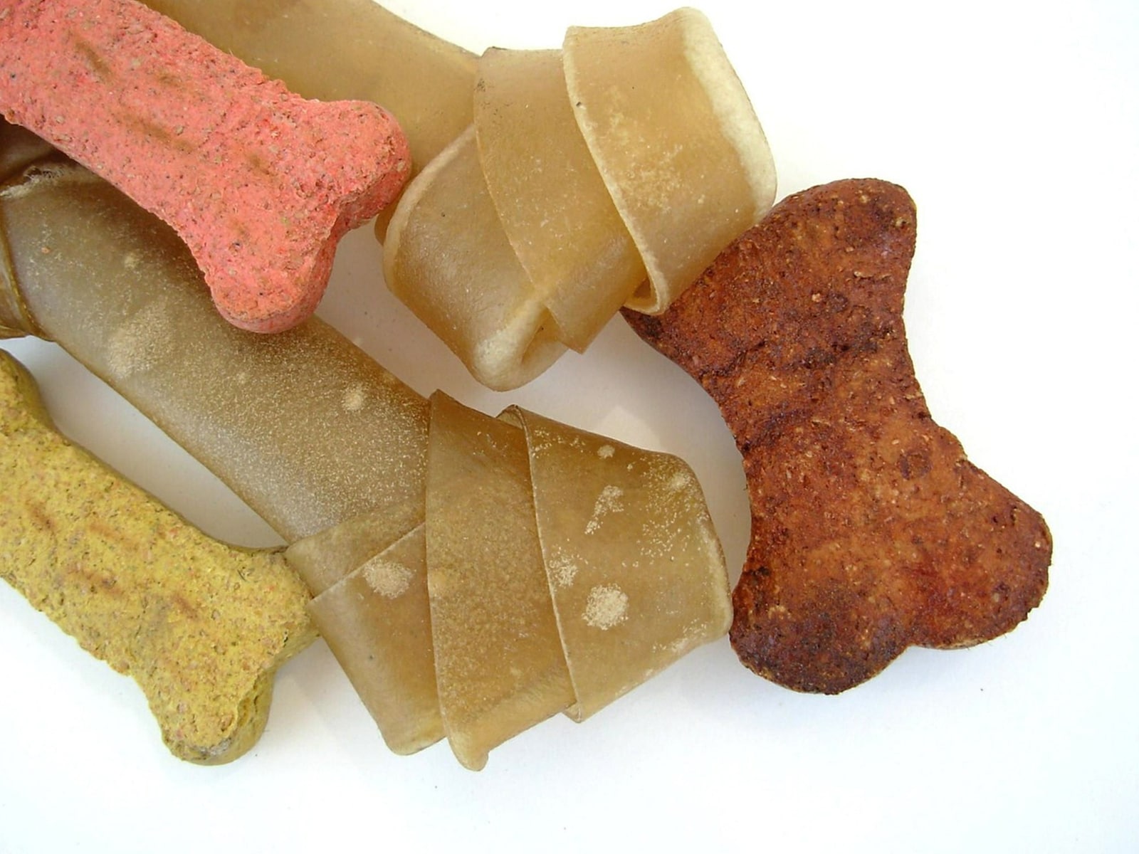 Los mejores SNACKS de HUESOS para perros RedCanina.es