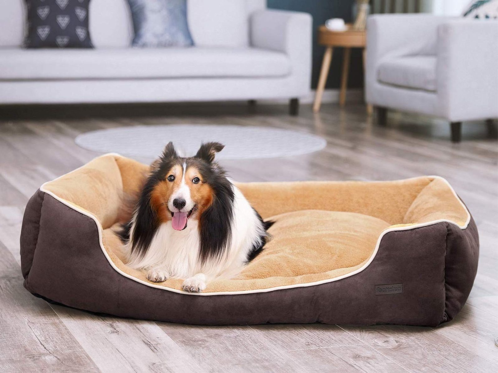 Comparativa mejores CAMAS para perros, COLCHONES y accesorios