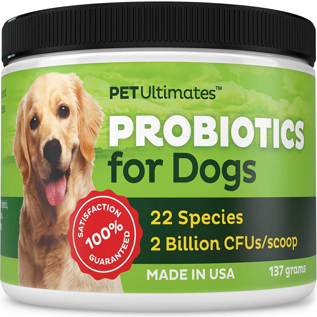 Los probióticos para perros -