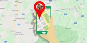 Ranking Con Los Mejores GPS Para Perros