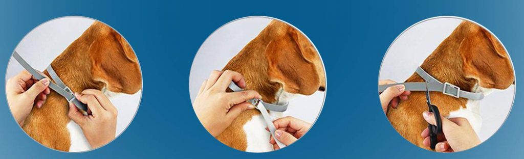 Parassikil contra pulgas y garrapatas Collar antiparasitario para perros de talla pequeña