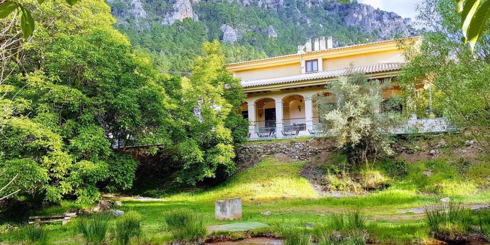 Los mejores hoteles con las valoraciones más altas que aceptan perros en la provincia de Albacete