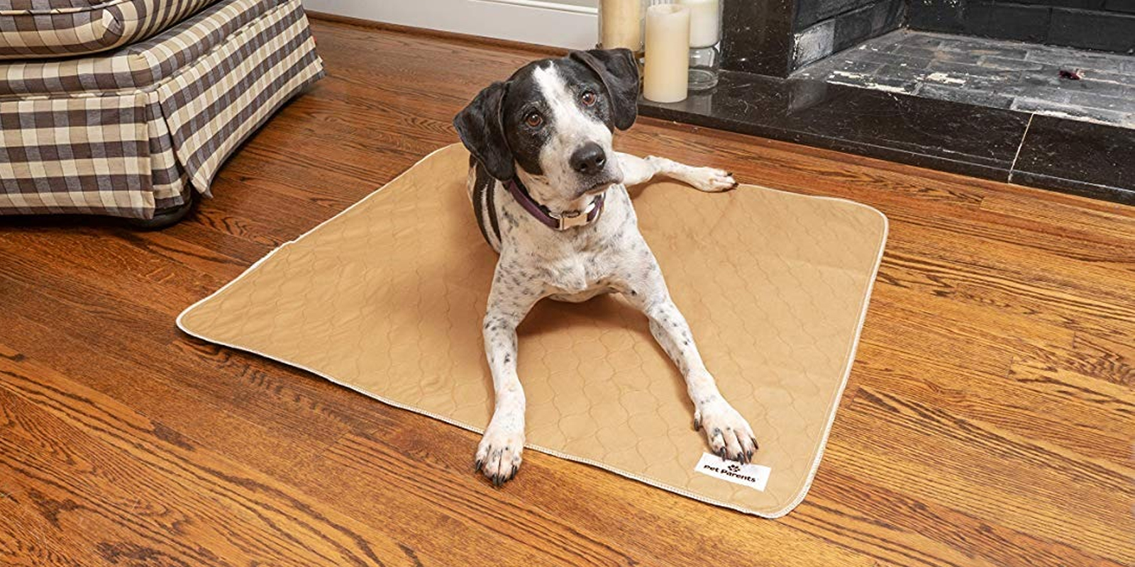 Empapadores para incontinencia para perros caja de 2 almohadillas GRANDES Almohadillas reutilizables perros PET IMPACT Alfombras de entrenamiento para cachorros lavable Premium