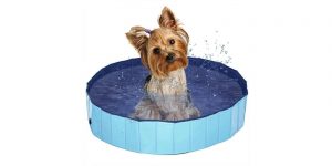 Las Mejores Bañeras Y Piscinas Para Perros Medianos Y Pequeños