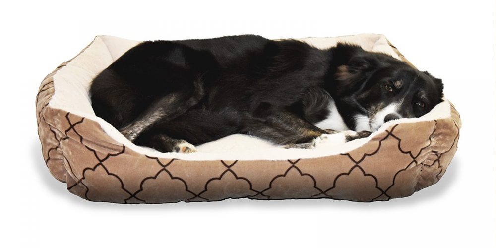 Las Mejores Camas Nido Para Perros Grandes