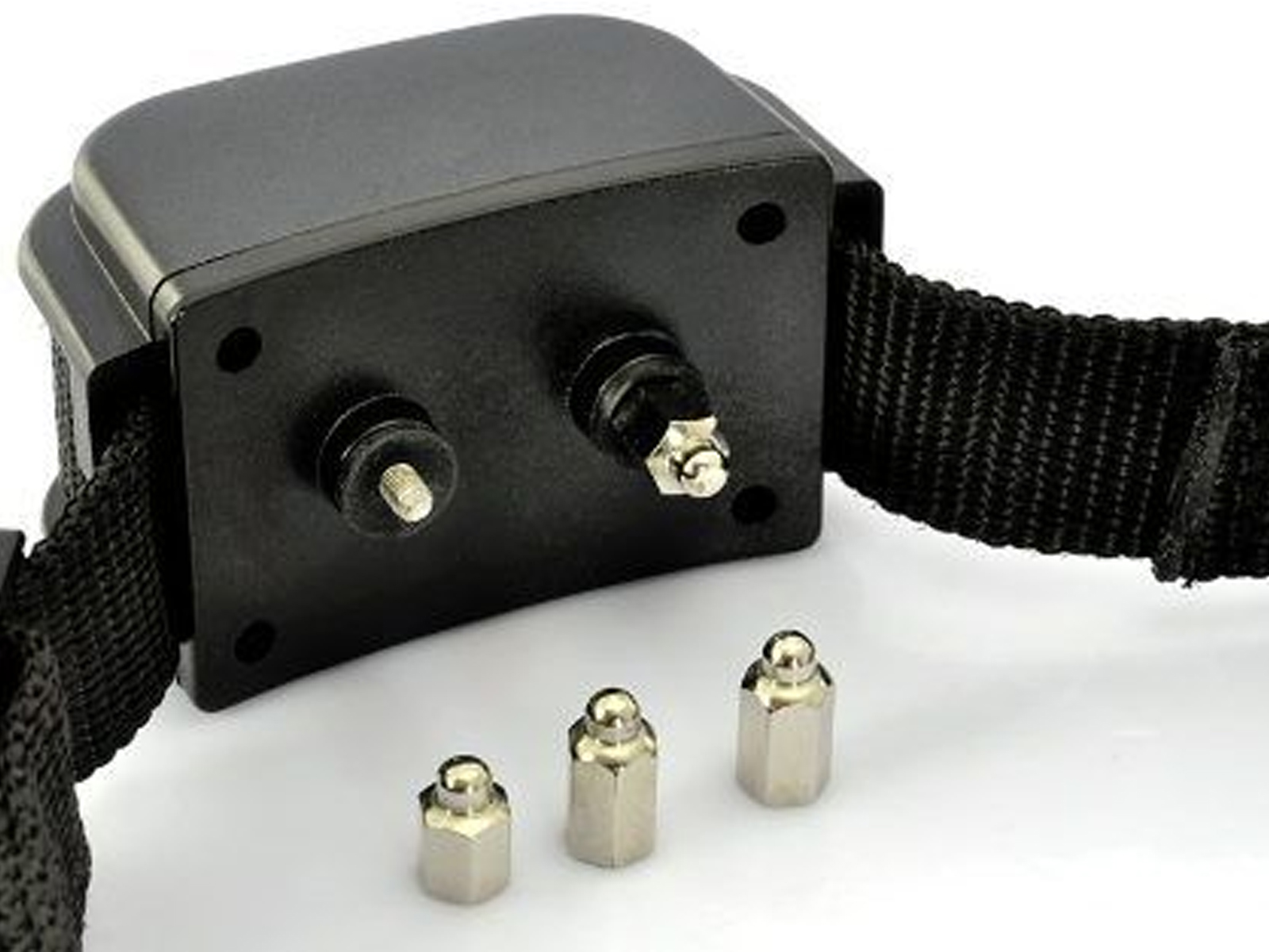 Top 5 mejores COLLARES ELÉCTRICOS para perros RedCanina.es