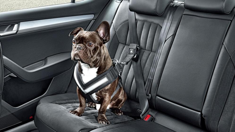 Ajustable Cinturón de Seguridad Doble para Perro SlowTon elástico para reposacabezas de Coche de Mascotas Correa para Perro sin enredos