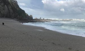 Playa Quintana para Perros en Valdés Asturias