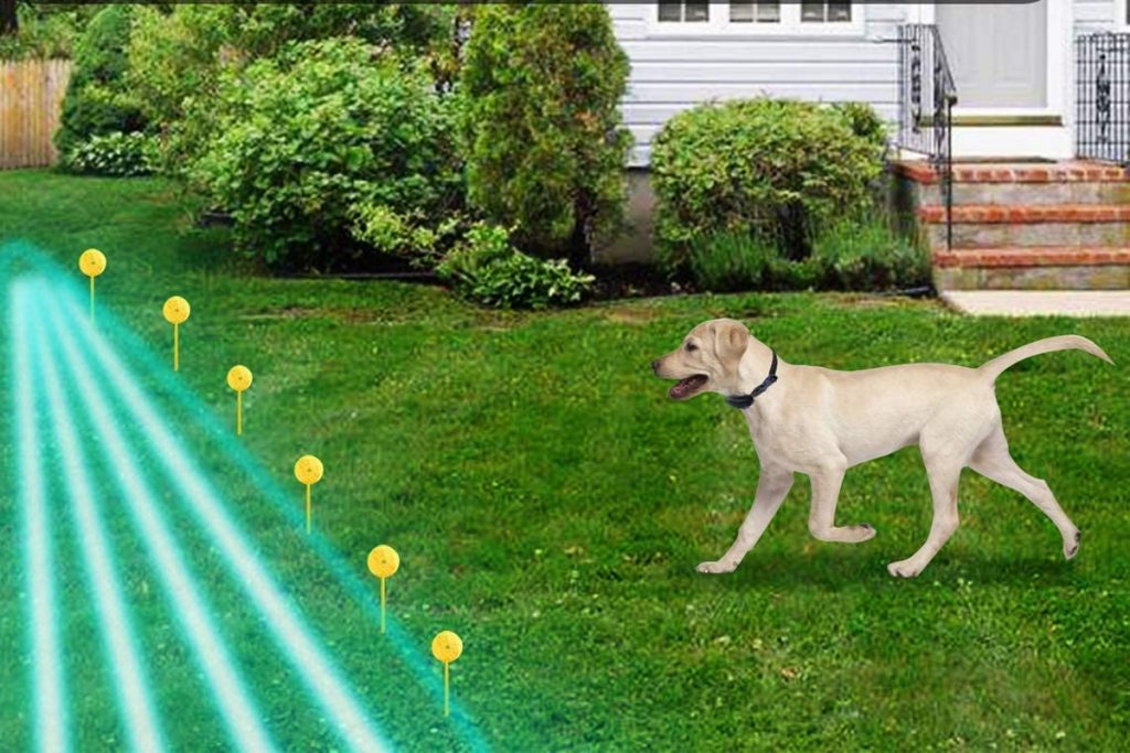 55€ vallas invisibles para perros eléctricas, Vallas para perros