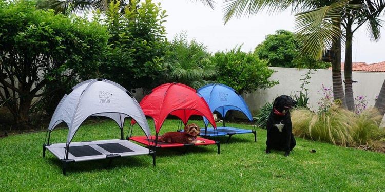 Mejores toldos para perros para proteger a tu mascota del sol