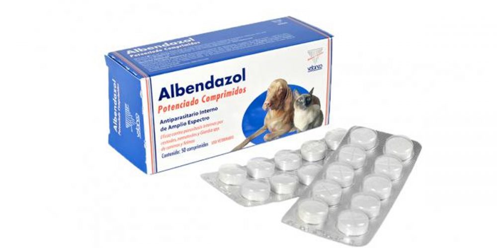 Albendazol para perros. Para qué sirve y qué daños y toxicidad tiene