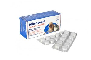 Albendazol para perros. Para qué sirve y qué daños y toxicidad tiene